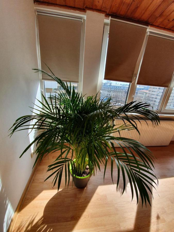 Ultracentral Apartments بوخارست المظهر الخارجي الصورة